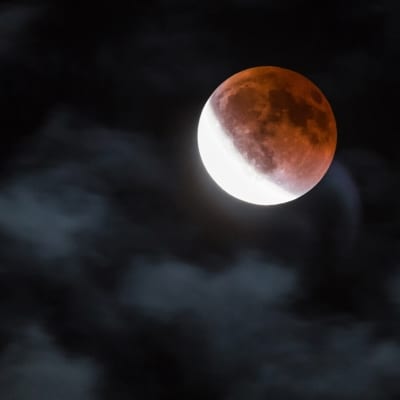 blood moon eclipse april 2015