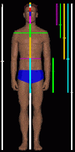 humanbod