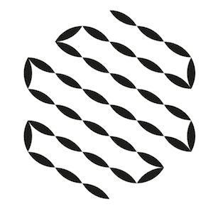 flower 5