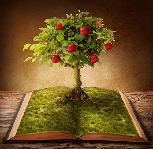  middle life cycle numerology meaning