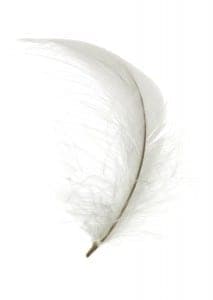 feather angel