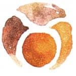 taurus
