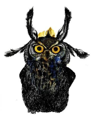 owl-spirit-guide