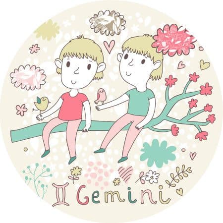 gemini child