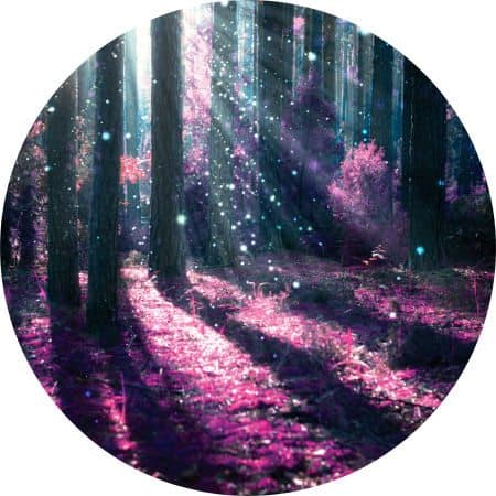 light 1