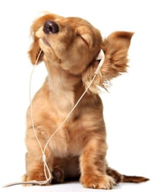 power of sound