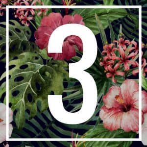 3 numerology