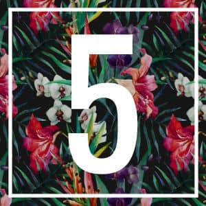 5 numerology
