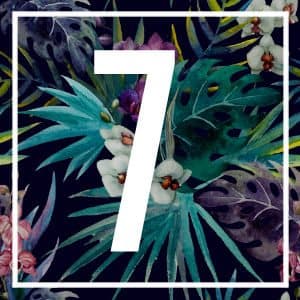 7 numerology