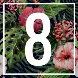 8 numerology