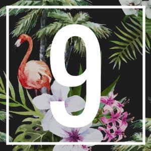 9 numerology