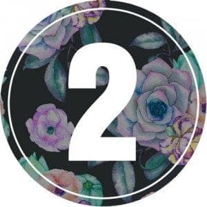 2-numerology