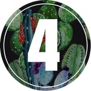 4-numerology