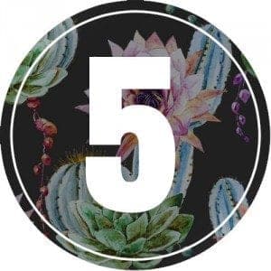 5-numerology