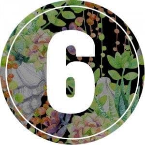6-numerology