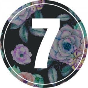7-numerology