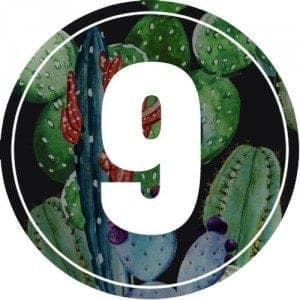 9-numerology