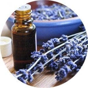 Lavender herb and essential oil