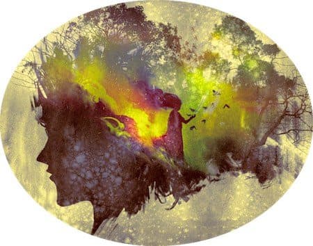 past life south node