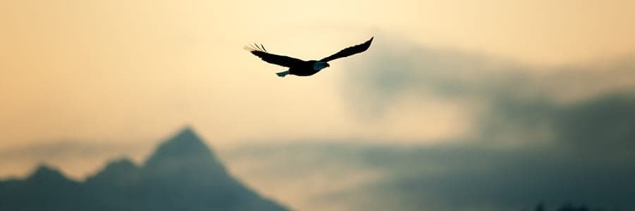 4-JULY-NUMEROLOGY-FREEDOM