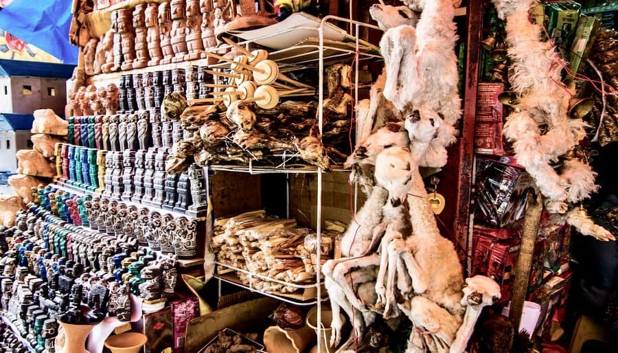 Bolivian Witches Market