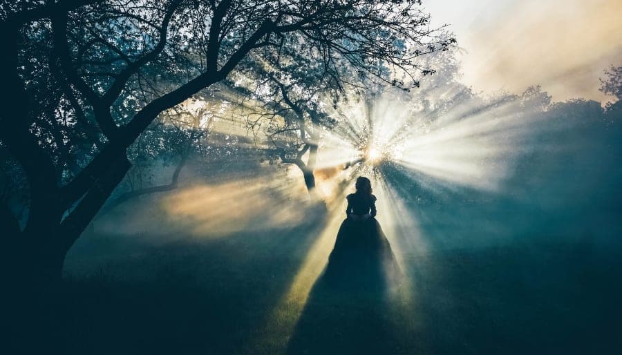 Dark Goddess in Foggy Forest