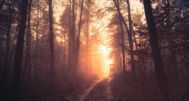 nature meditation