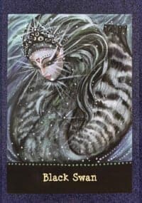 angel message black swan