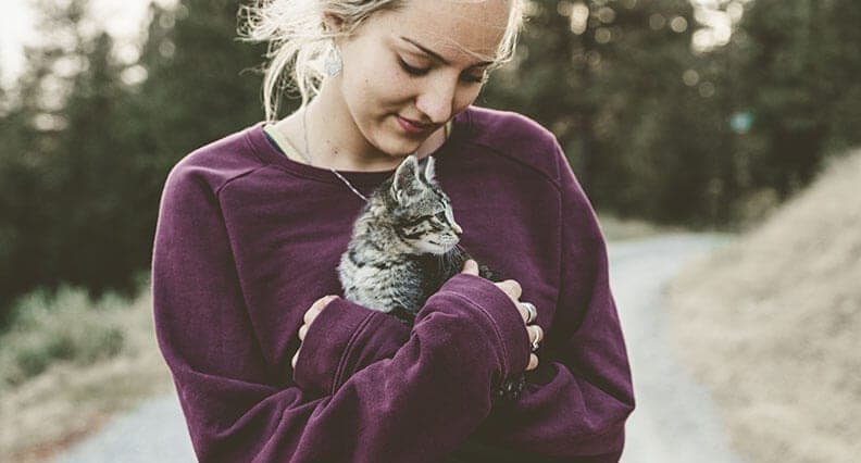 feline starseeds have a deep respect for cats