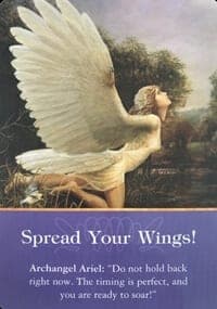 Angel Message Spread Your Wings