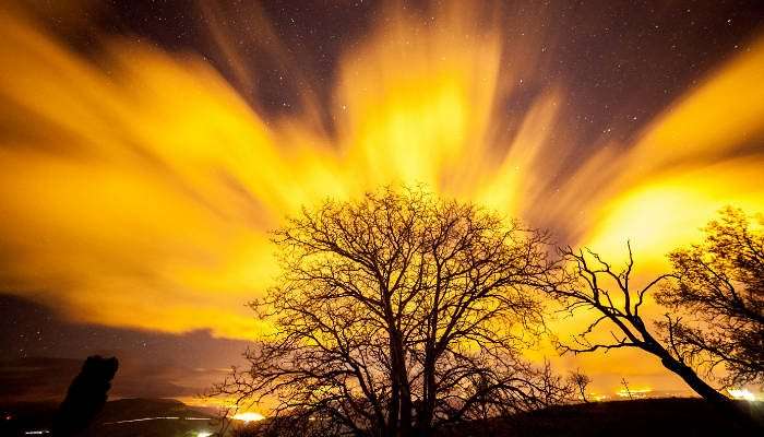 How Numerology Changed My Life and How it Can Change Yours Too