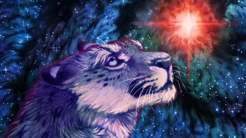 How To Read Tarot For Yourself In 5 Simple Steps