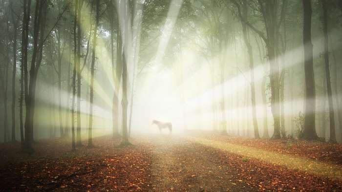How To Receive Guidance From The Universal Spirit