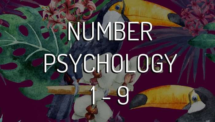 How To Decipher The Psychology Of Your Number Journey: 1 – 9 Explained