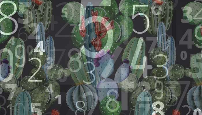 Number Symbology Explained – What Your Number Says about You!