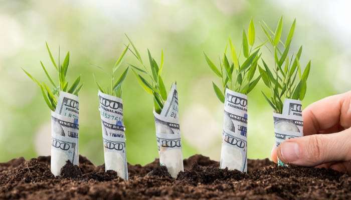 How To Become BFFs With Your Money For More Wealth