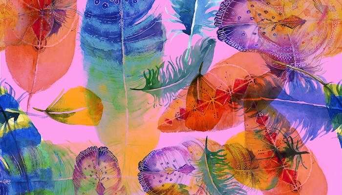 What Different Color Feathers Mean & Their Angelic Message To You