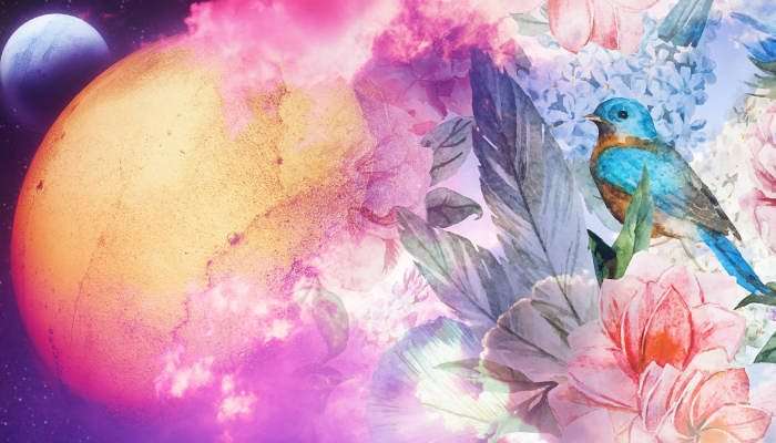 In the Southern Hemisphere? Here’s How To Make Summer Solstice Magic For Blessings & Abundance