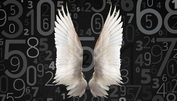 Are Numbers Talking To You? Here’s What They’re Saying…