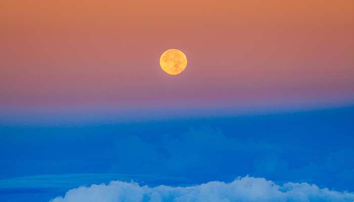 Mama Moon  – 3 Ways To Decode Your Moon Sign & How It Relates To Mother’s Day