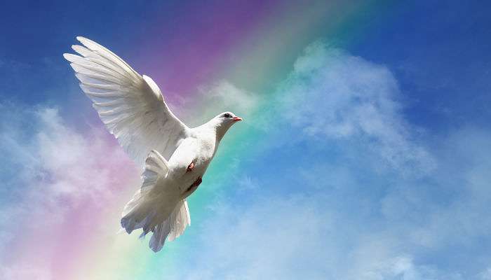 FORGIVENESS: Is this the Most Powerful Tool for Personal Transformation Ever?