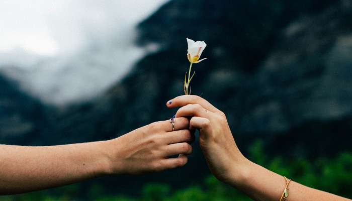 Ask Jessica: <em>Have I Missed My Chance at Love? </em> (Your ❤️ Column)