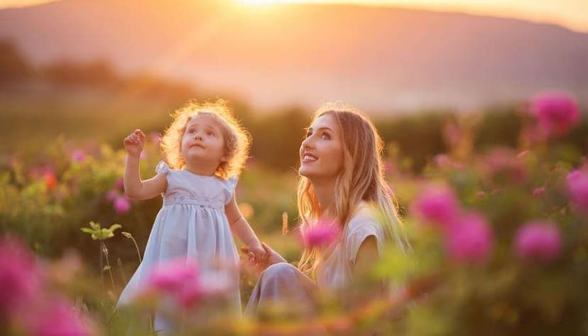 What to Expect with a 6 Universal Year! Why The Nurturing Energy Of #6 Will Help You Find Your Sanctuary