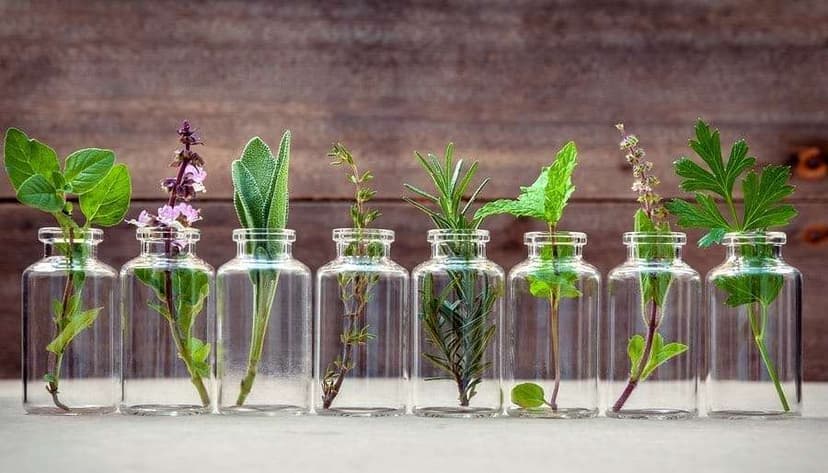 Listen Up Ladies! These Are the Herbal Remedies You Need To Radically Improve Your Health