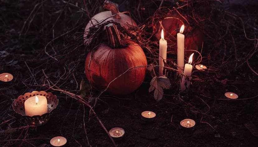 Take This Witchy Quiz and We’ll Tell You Which Secret Ingredient Your Magick Spells Are Missing!
