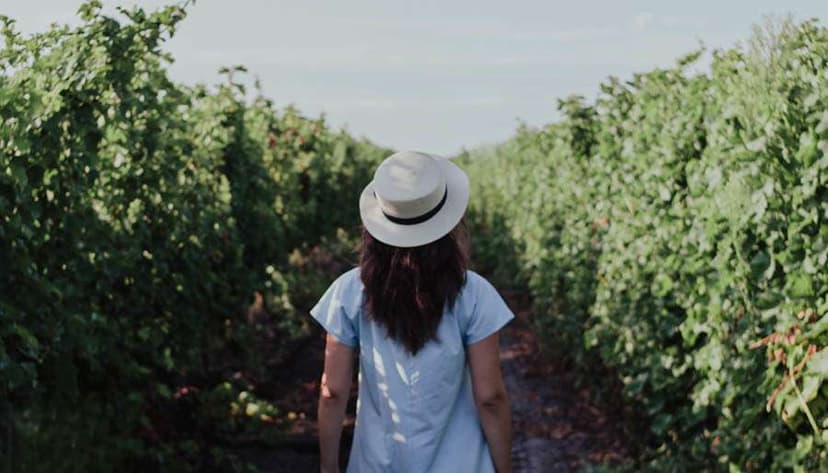 Discover How Connecting With Your Spiritual Guides Will Help Answer The Unsolvable Questions In Your Life