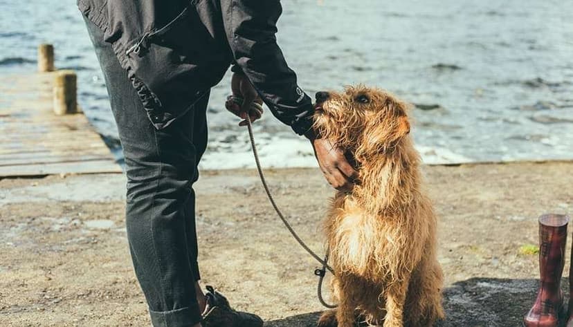 Looking For Guidance? Follow These 7 Simple Steps To Connect With Your Spirit Animal