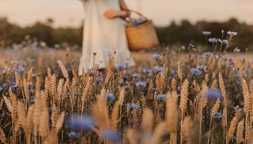 These 5 Everyday Herbs Will Make Your Deep Dive into Shadow Work A TON Easier (and More Effective)  