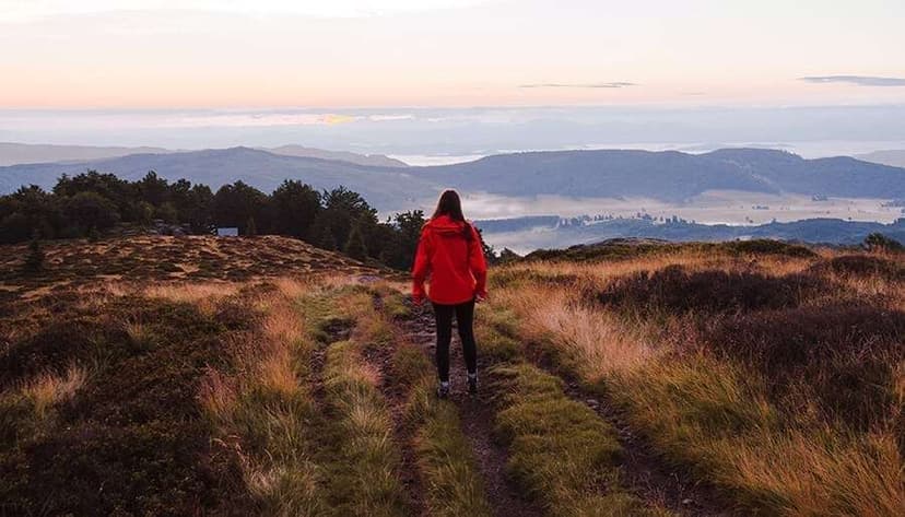 How Listening To The Universe Will Unlock A Greater Sense of Truth –