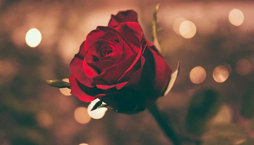 The Real Meaning of Angel Number 246 (& How You Can Use It For Lasting Love)
